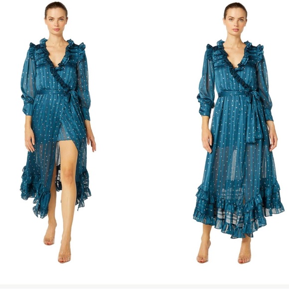 Misa Los Angeles Gabriella Asymmetric Striped Wrap Midi-Dress sheer long sleeve - Picture 14 of 14